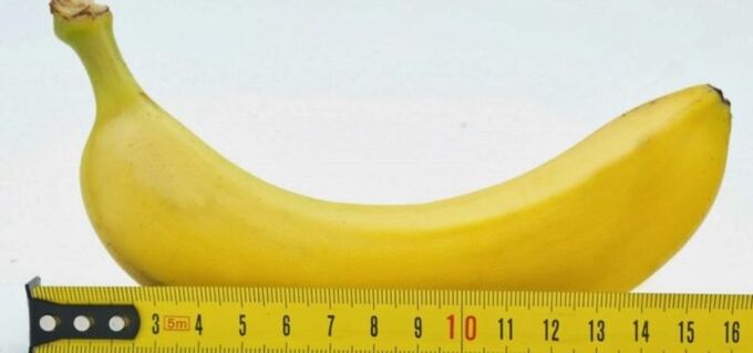 medição do pênis usando uma banana como exemplo antes da cirurgia de aumento